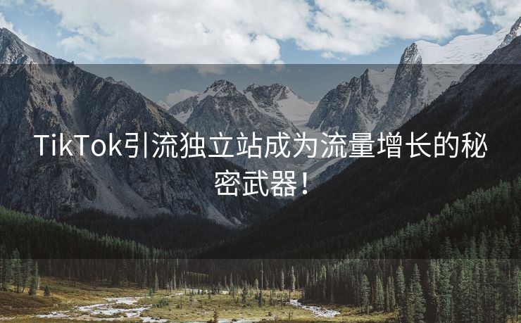 TikTok引流独立站成为流量增长的秘密武器！
