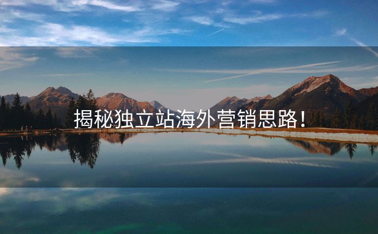 揭秘独立站海外营销思路！