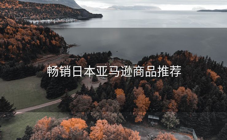 畅销日本亚马逊商品推荐