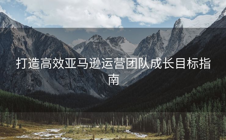 打造高效亚马逊运营团队成长目标指南