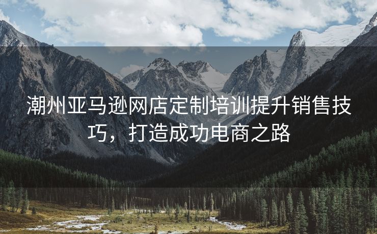 潮州亚马逊网店定制培训提升销售技巧，打造成功电商之路