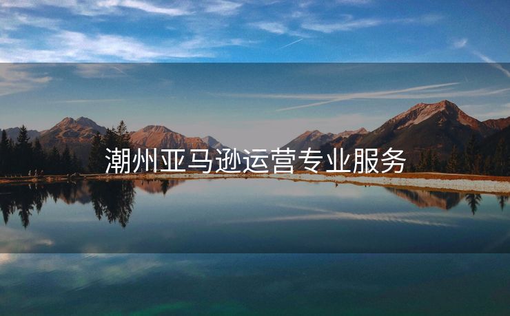 潮州亚马逊运营专业服务
