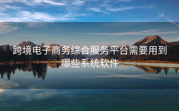 跨境电子商务综合服务平台需要用到哪些系统软件