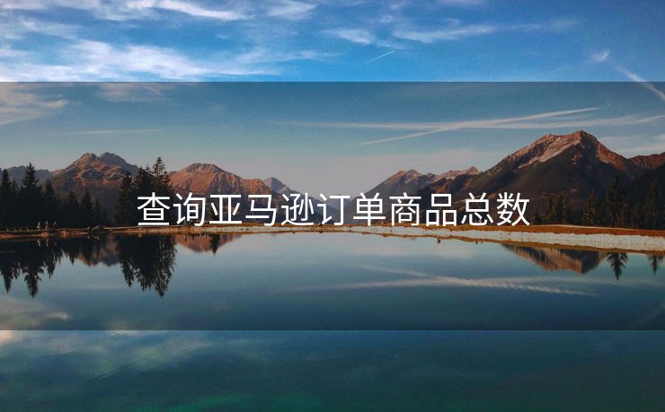 查询亚马逊订单商品总数