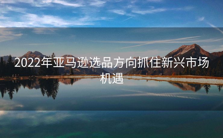 2022年亚马逊选品方向抓住新兴市场机遇