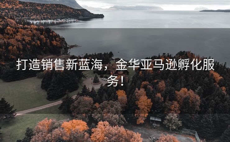 打造销售新蓝海，金华亚马逊孵化服务！