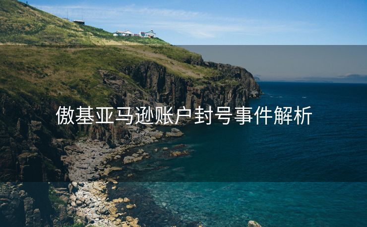 傲基亚马逊账户封号事件解析