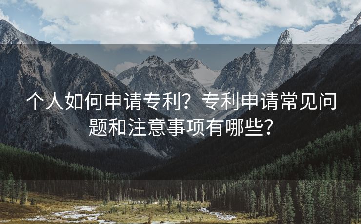 个人如何申请专利？专利申请常见问题和注意事项有哪些？