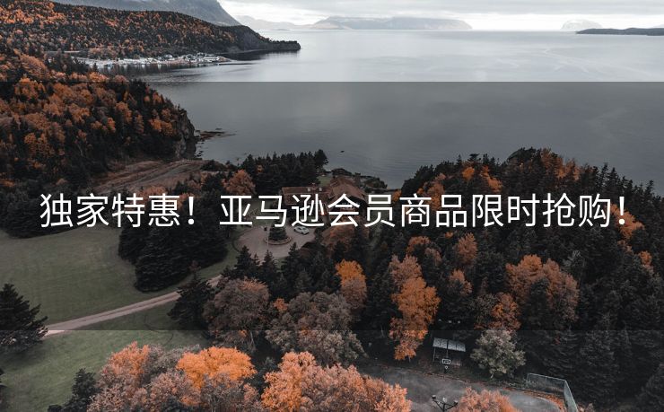 独家特惠！亚马逊会员商品限时抢购！