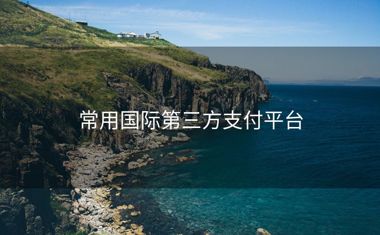 常用国际第三方支付平台