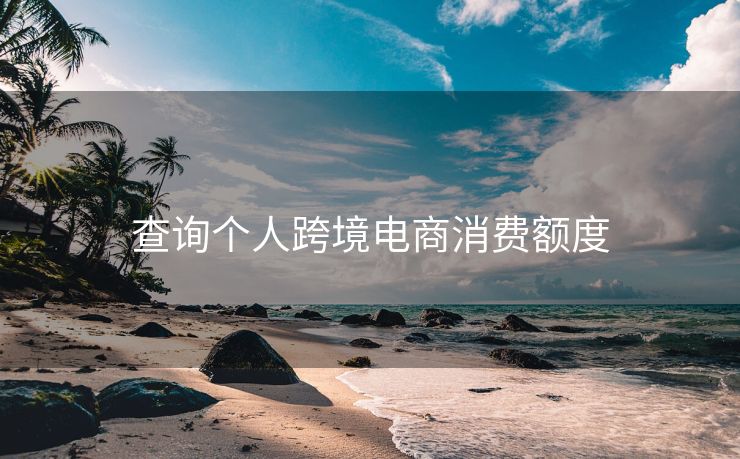 查询个人跨境电商消费额度