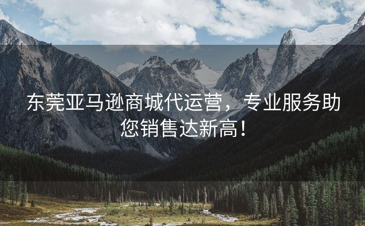 东莞亚马逊商城代运营，专业服务助您销售达新高！