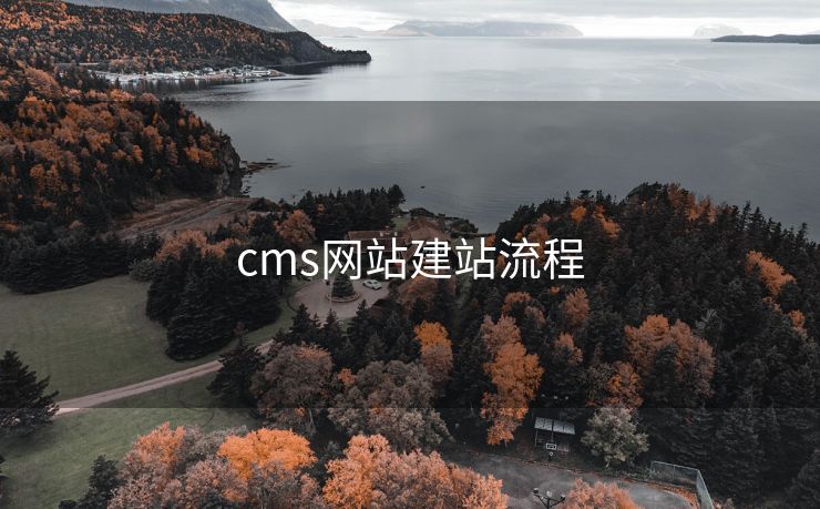cms网站建站流程