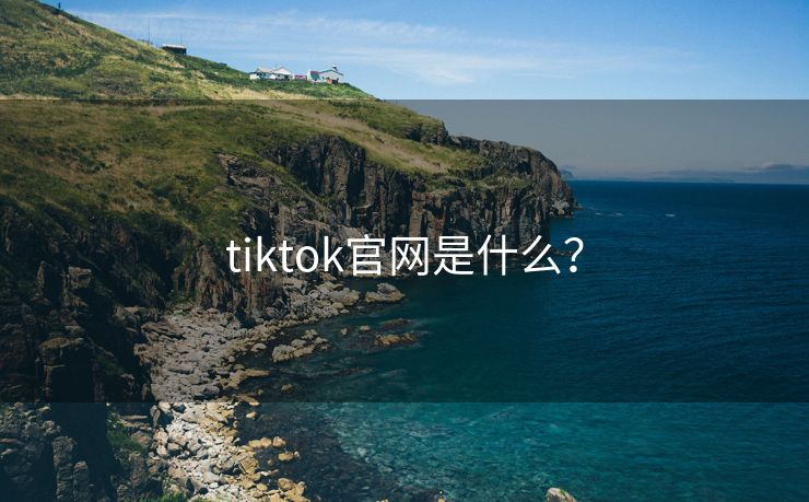 tiktok官网是什么？