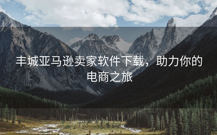 丰城亚马逊卖家软件下载，助力你的电商之旅