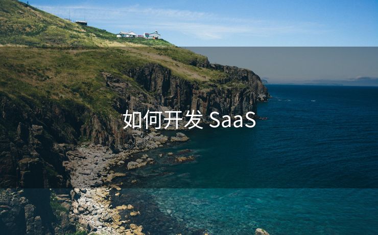 如何开发 SaaS