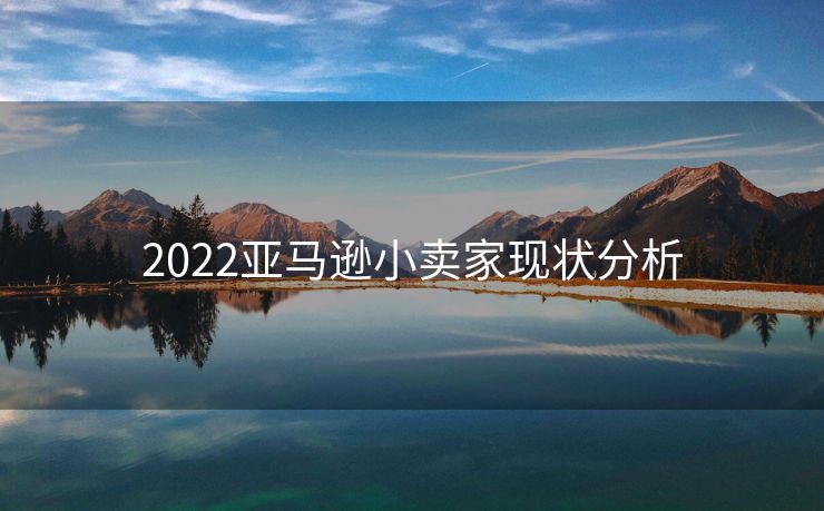 2022亚马逊小卖家现状分析