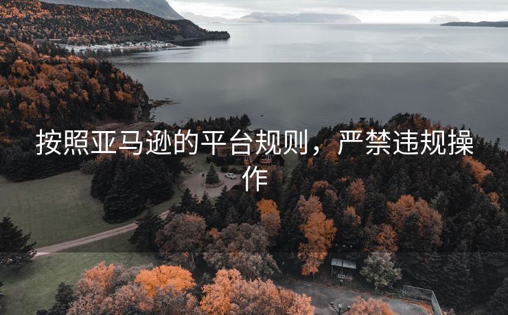 按照亚马逊的平台规则，严禁违规操作