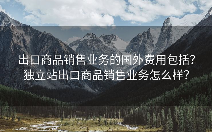 出口商品销售业务的国外费用包括？独立站出口商品销售业务怎么样？