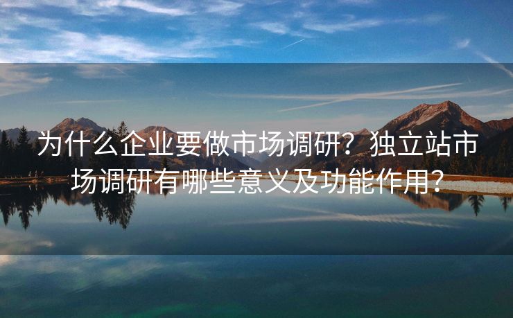 为什么企业要做市场调研？独立站市场调研有哪些意义及功能作用？