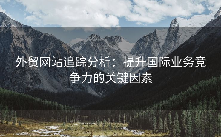 外贸网站追踪分析：提升国际业务竞争力的关键因素