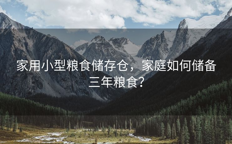 家用小型粮食储存仓，家庭如何储备三年粮食？