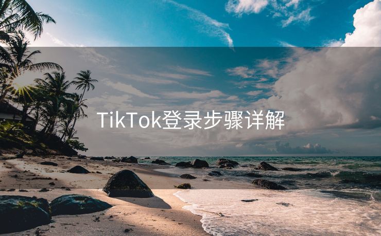 TikTok登录步骤详解