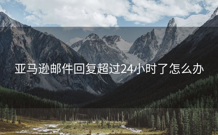 亚马逊邮件回复超过24小时了怎么办
