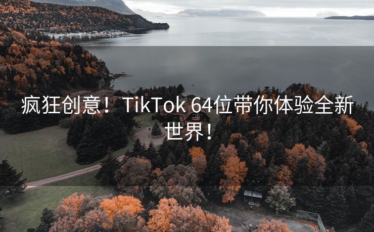 疯狂创意！TikTok 64位带你体验全新世界！