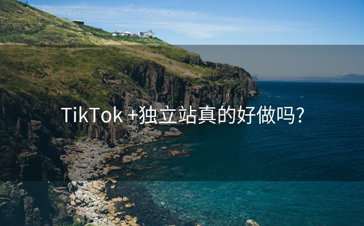 TikTok +独立站真的好做吗?