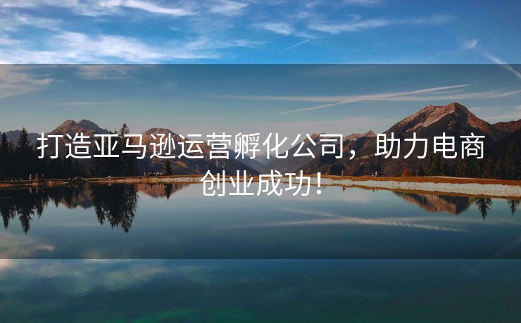 打造亚马逊运营孵化公司，助力电商创业成功！