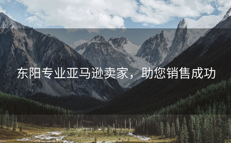 东阳专业亚马逊卖家，助您销售成功